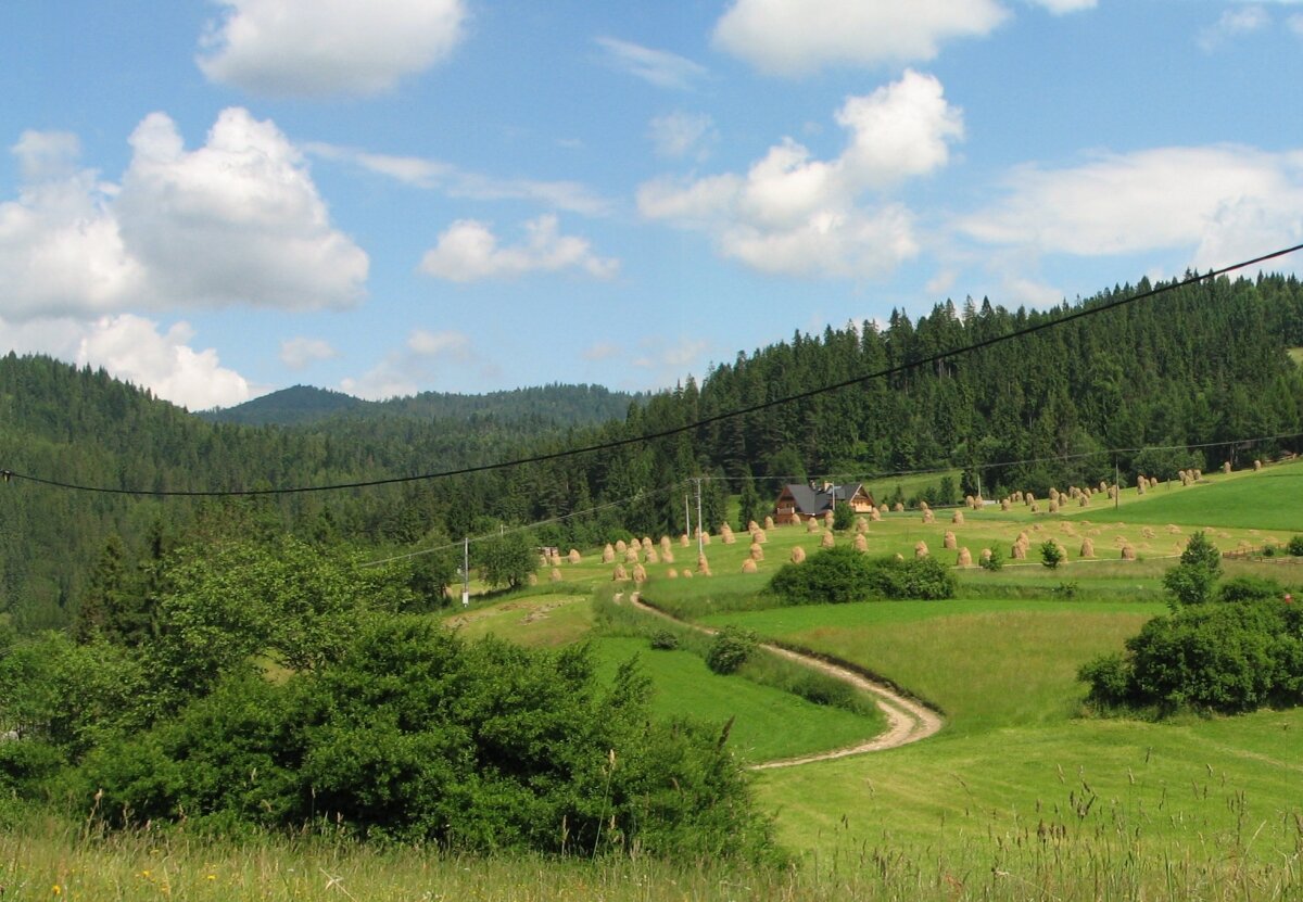 panorama dom 4 